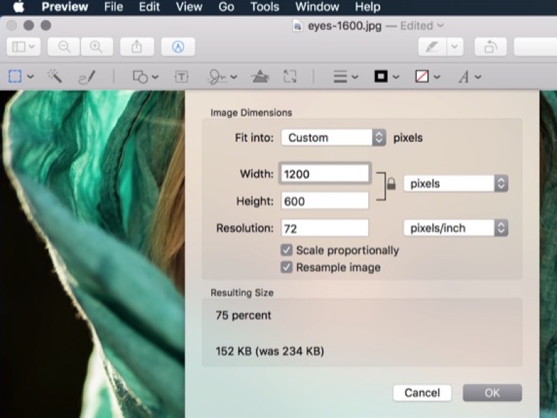 ThemeKit Image Prep [2]
