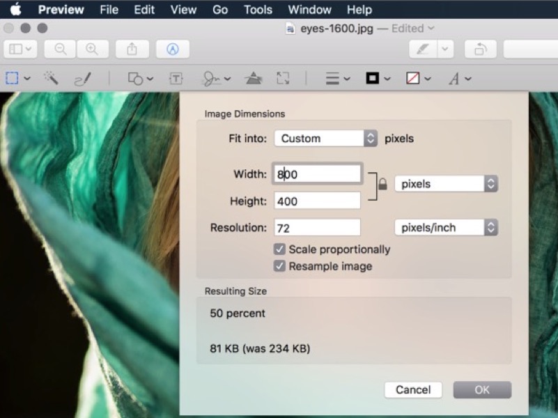 ThemeKit Image Prep [2]